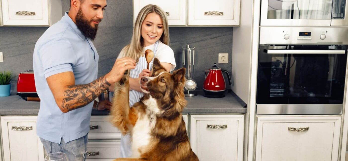 When to Switch to Senior Dog Food