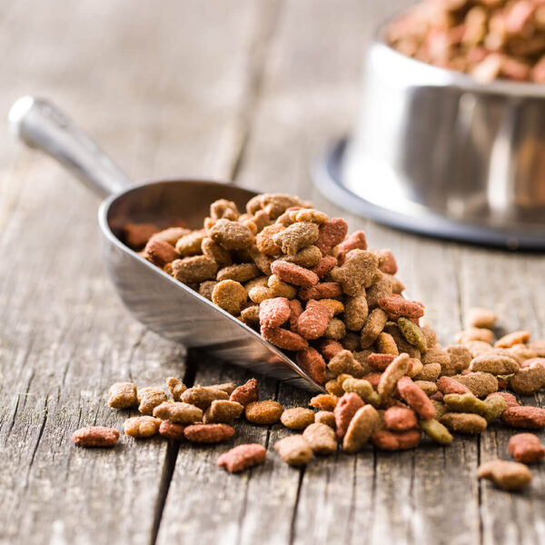 Bacon Flavored Dog Food