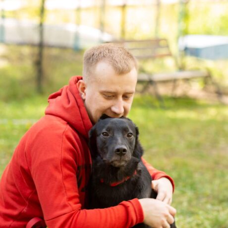 epicpaws-training-counter (1)