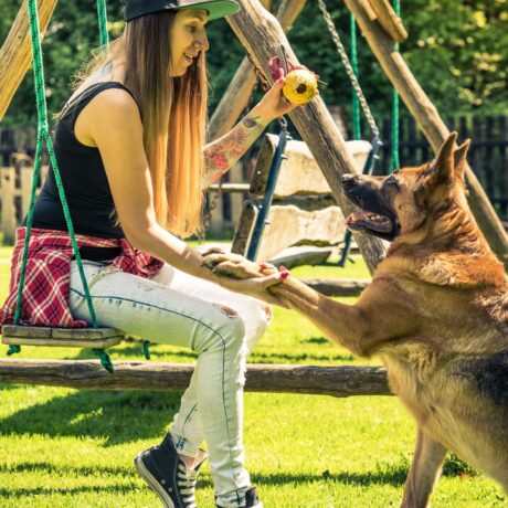 epicpaws-training-counter (2)