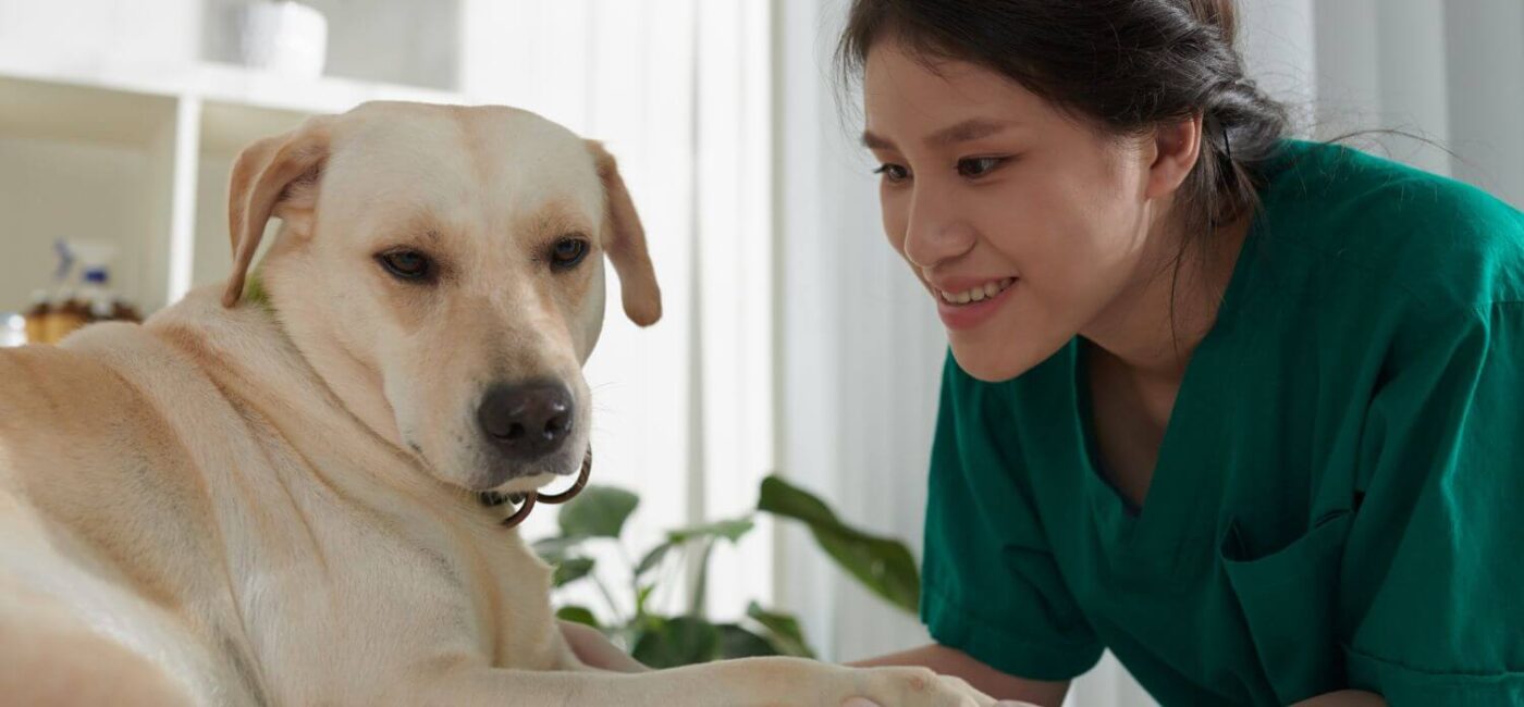 2023 Free Eye Exams for Dogs