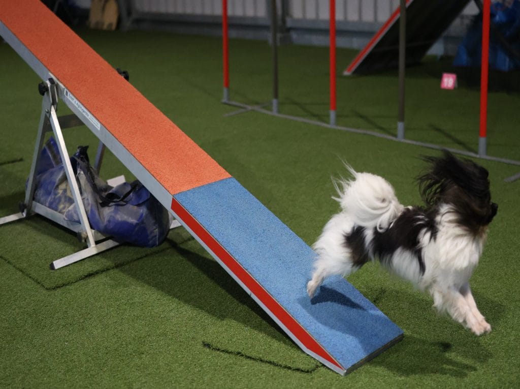 Agility